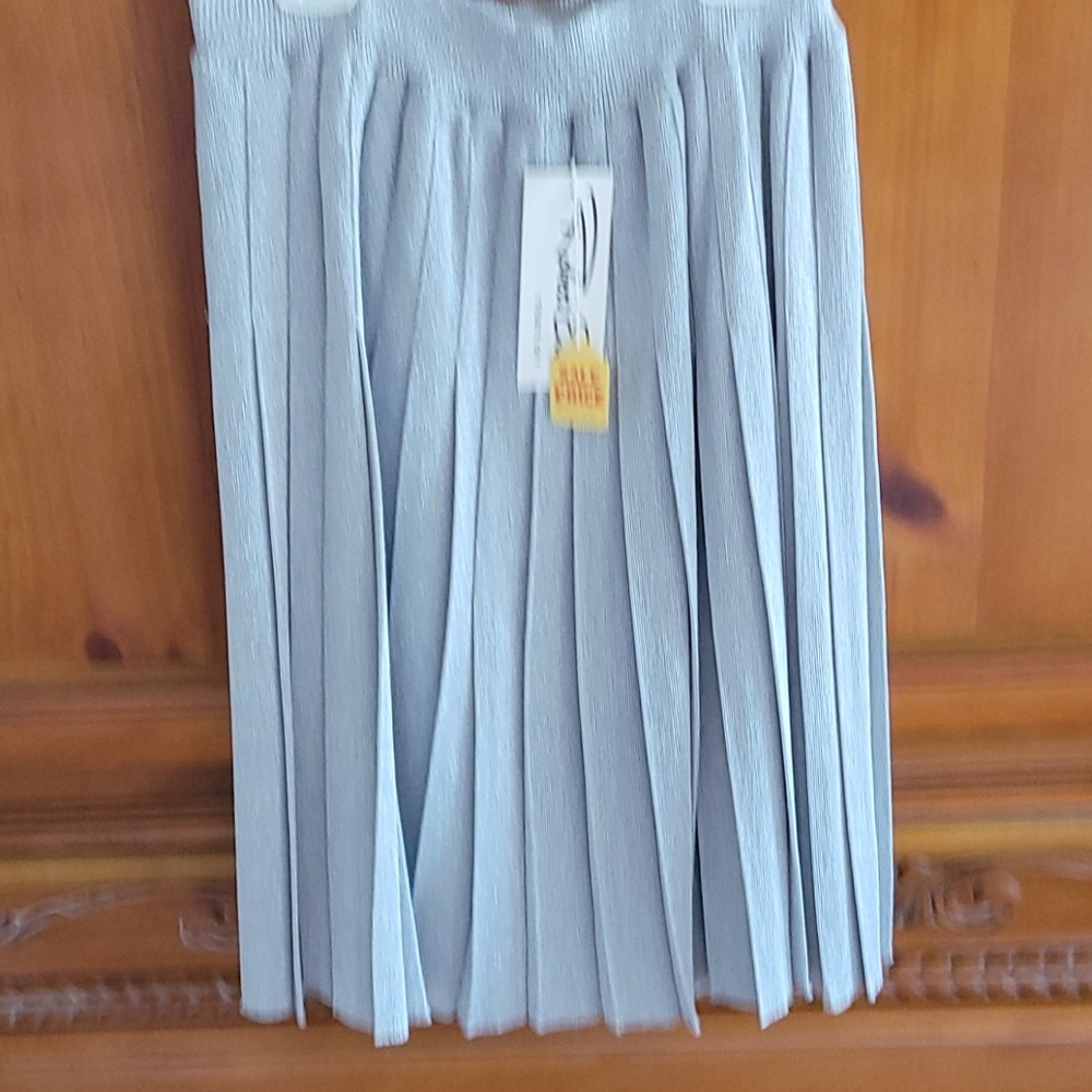 Silver skirt
